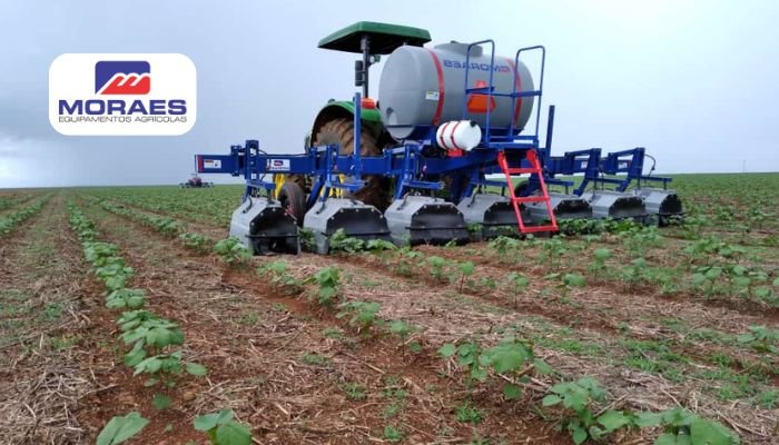 5 dicas para o uso de herbicidas em pastagens