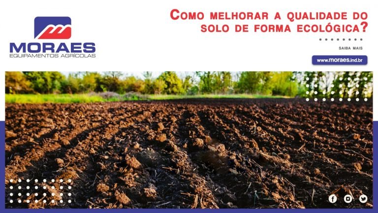 Como Melhorar A Qualidade Do Solo De Forma Ecológica? – Moraes ...