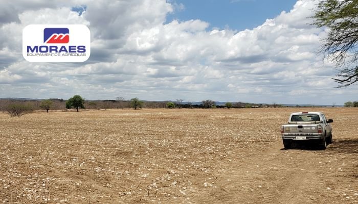 Em quais regiões o vazio sanitário na cultura do algodão é obrigatório? Em quais regiões o vazio sanitário na cultura do algodão é obrigatório?