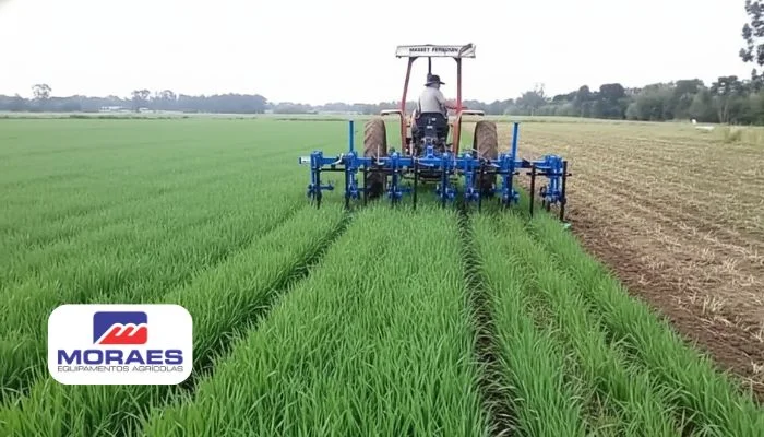 Vibro Moraes: Cultivador Mecânico para Reduzir Herbicida e Aumentar Produtividade