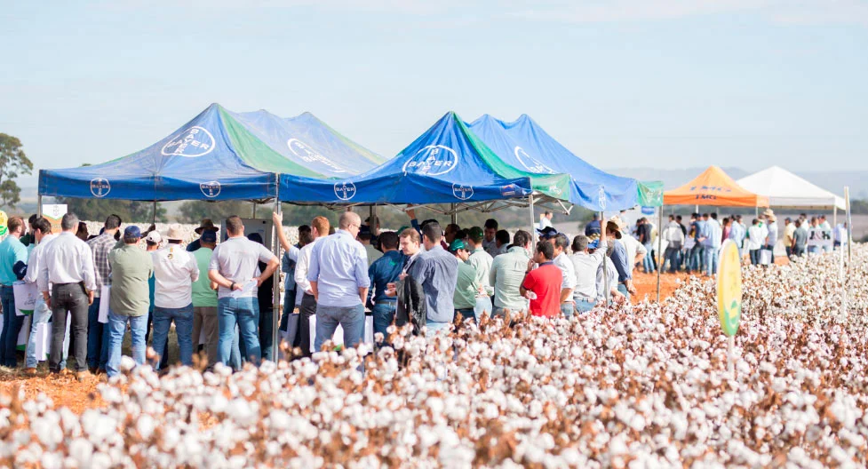 Dia de Campo AMIPA – Associação Mineira de Produtores de Algodão