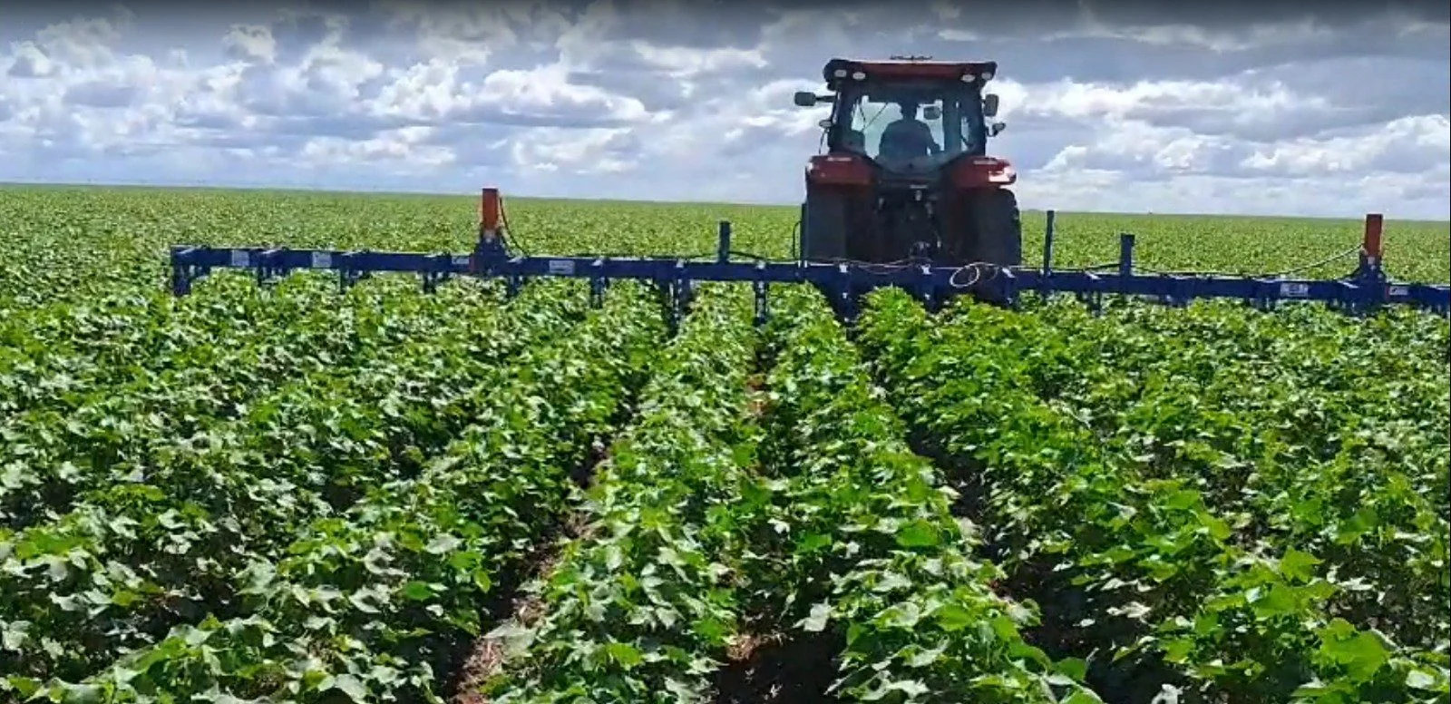 Vibro cultivador mecânico Moraes em operação lavoura comercial Brasil