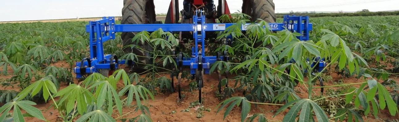 cultivador mecânico Vibro controlando plantas daninhas na mandioca