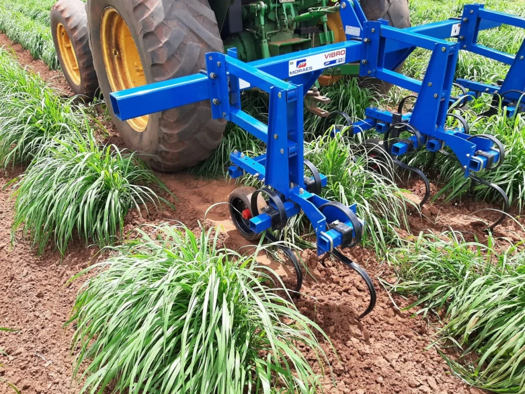 Benefícios do cultivador Vibro para o cultivo de Capim