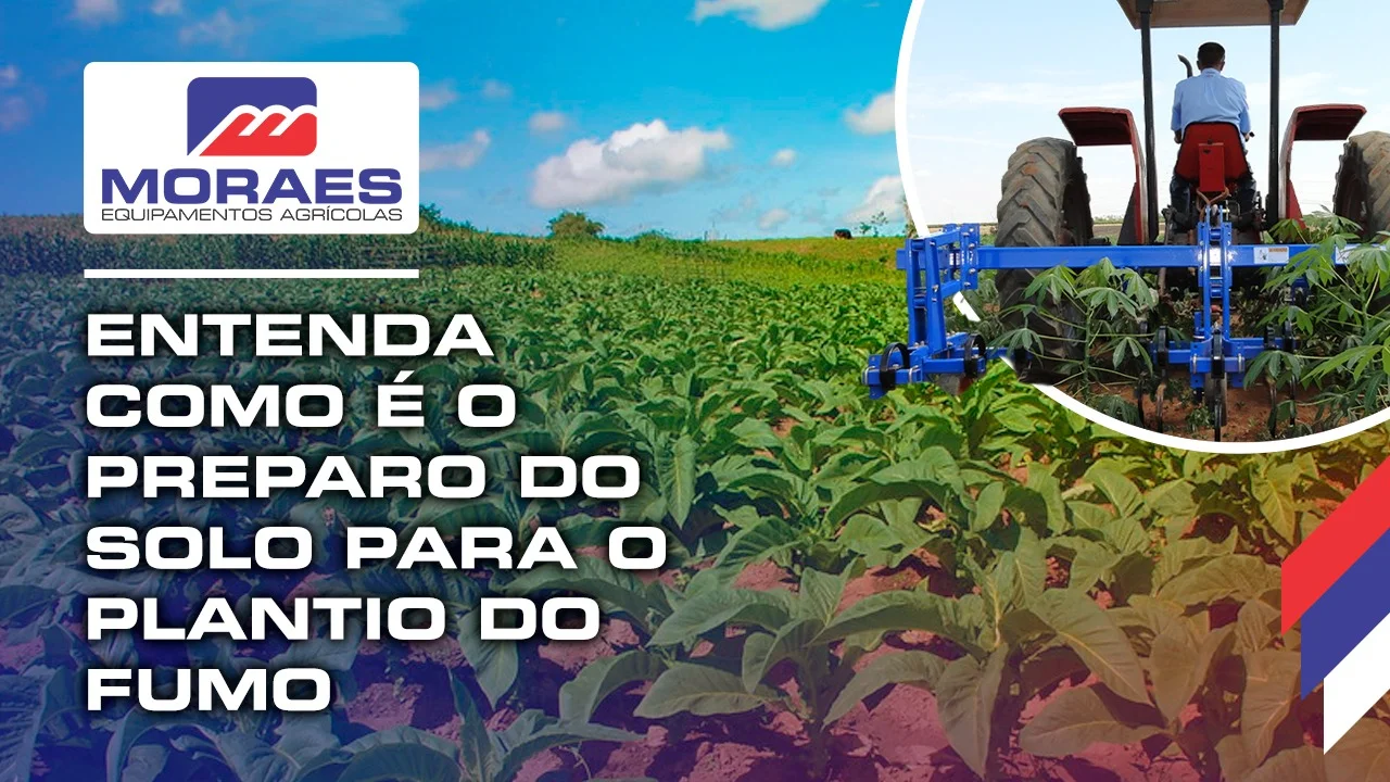 Entenda como é o preparo do solo para o plantio do fumo