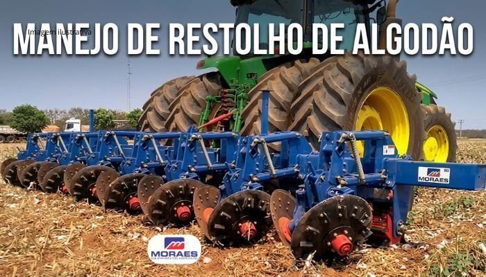 Manejo de soqueira do algodão: Por que o baixo revolvimento do solo é o futuro?
